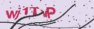 Captcha認証コード
