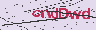 Captcha認証コード